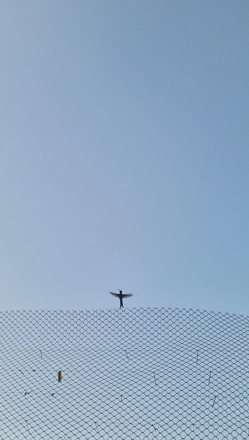 Photo #10744124