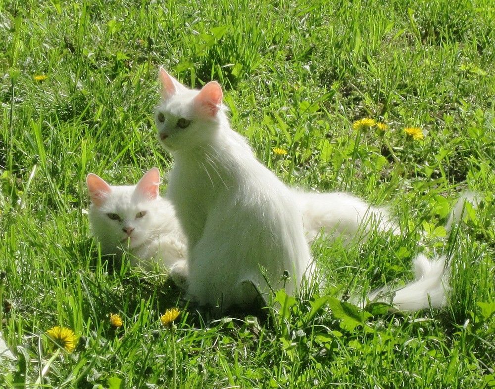 Photograph by Михаил Попов