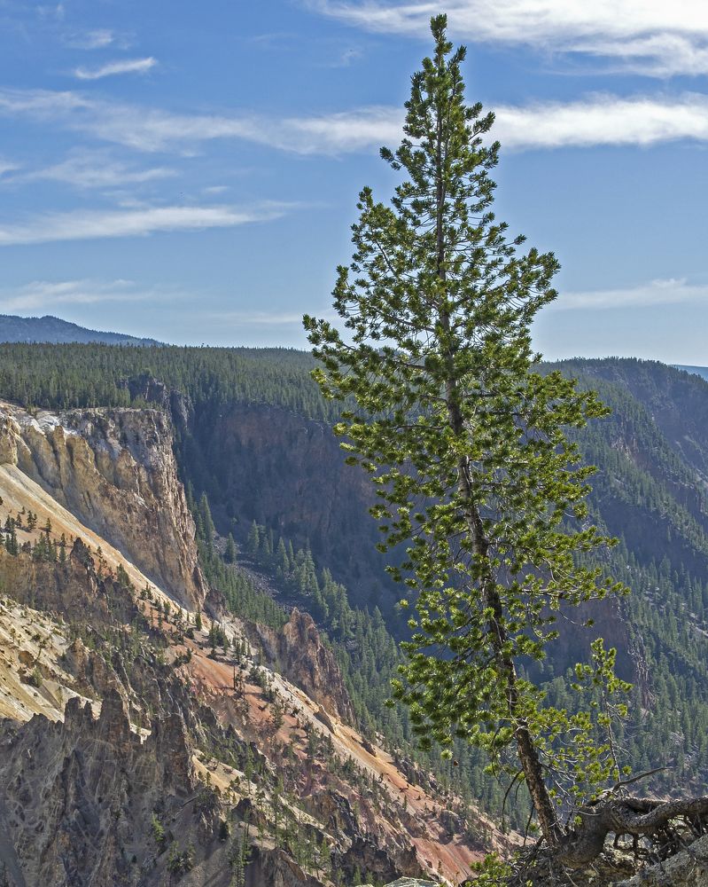 Photograph by Гришанов Пётр