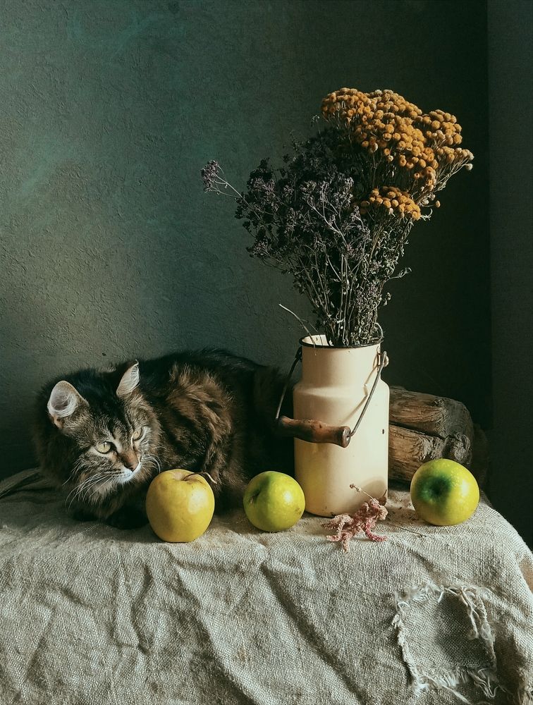 Photograph by Евсеева Валентина