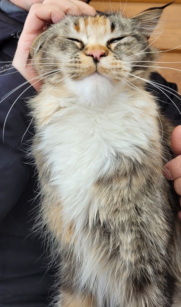 Photograph by Кайгородцев Артем