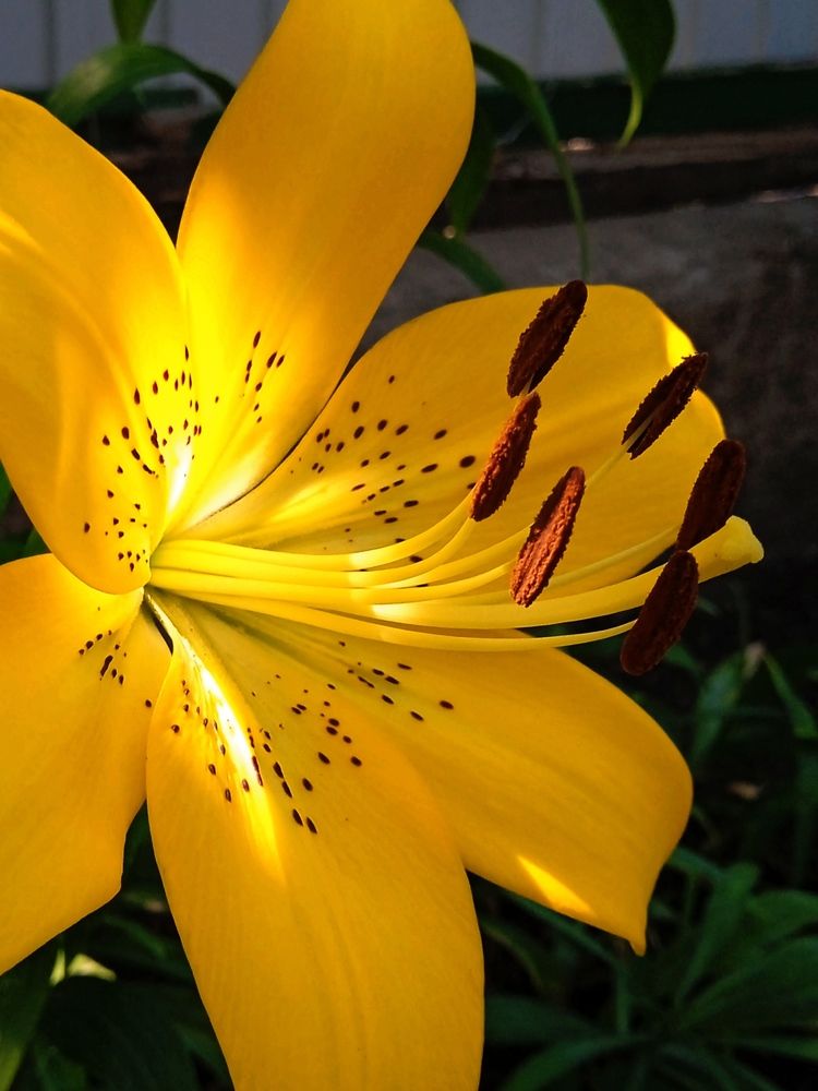 Photograph by Наталья Назаренко