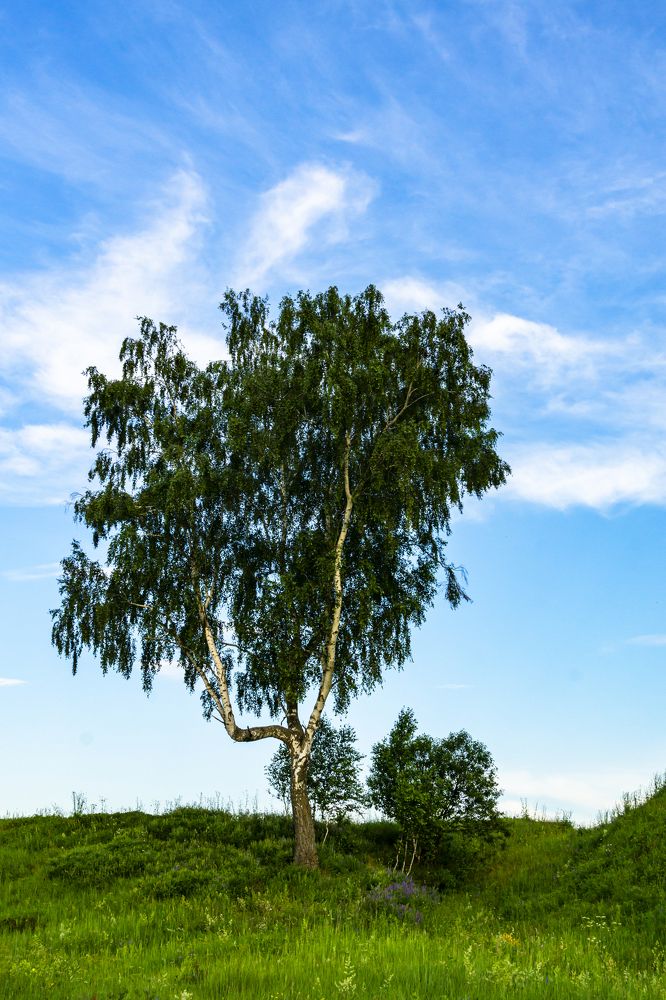 Photograph by Slavcan Vinnikov