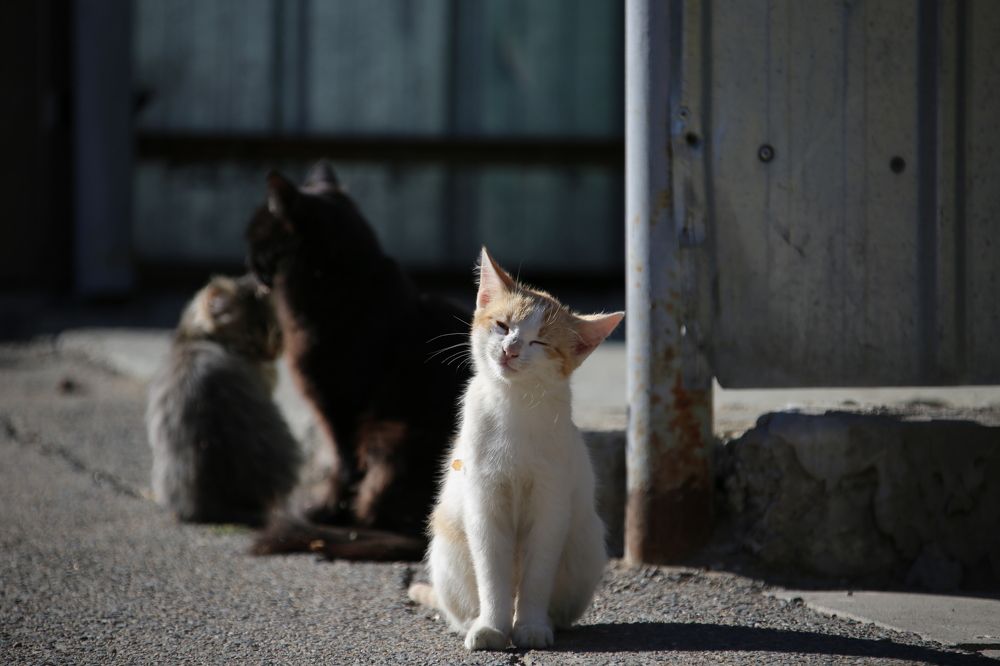 Photograph by Павел Швец