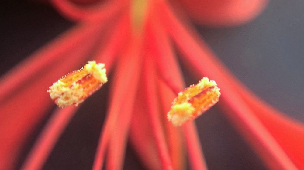 Фотография автора zakaria ahmad