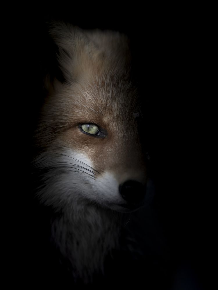 Photograph by Utsunomiya Ryo