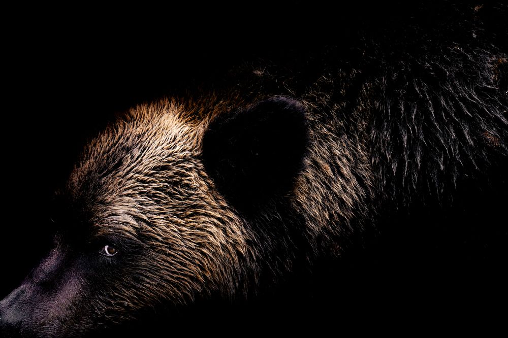 Photograph by Utsunomiya Ryo