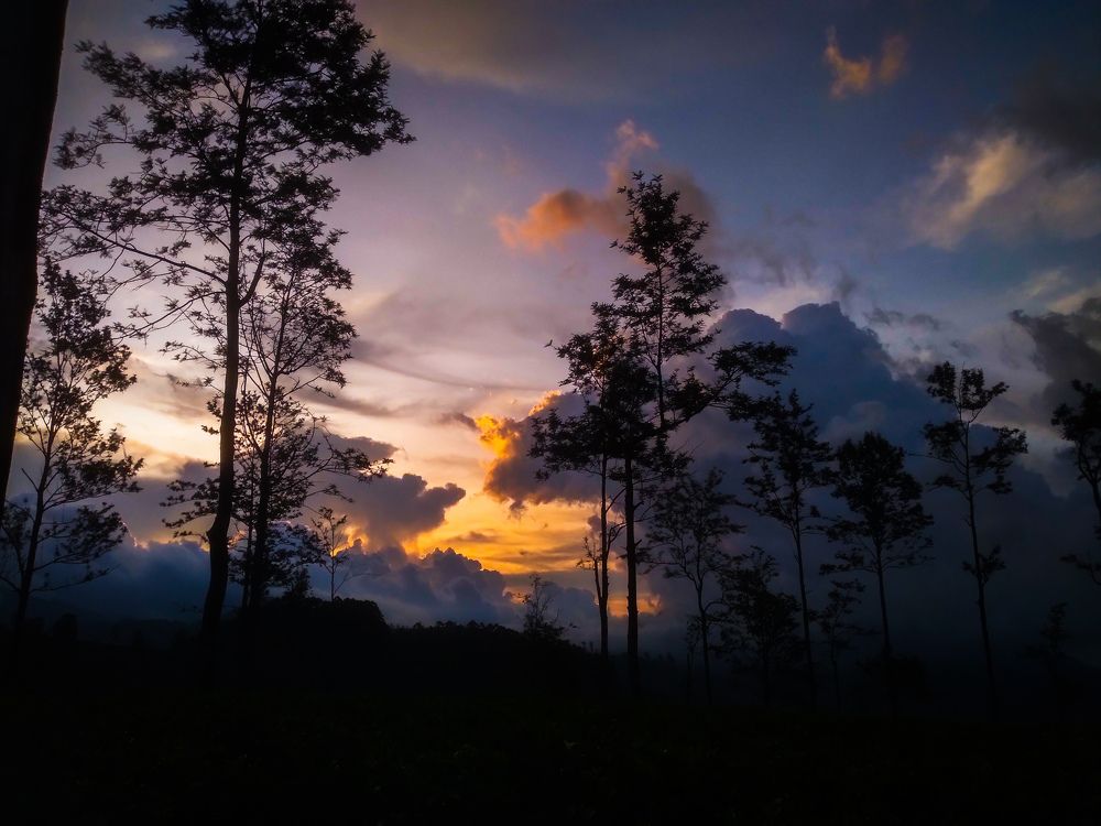 Photograph by lahiru sandaruwan