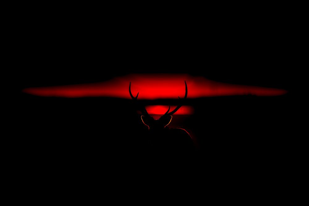 Photograph by Utsunomiya Ryo