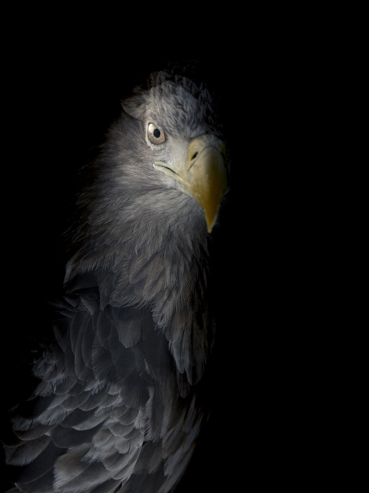 Photograph by Utsunomiya Ryo