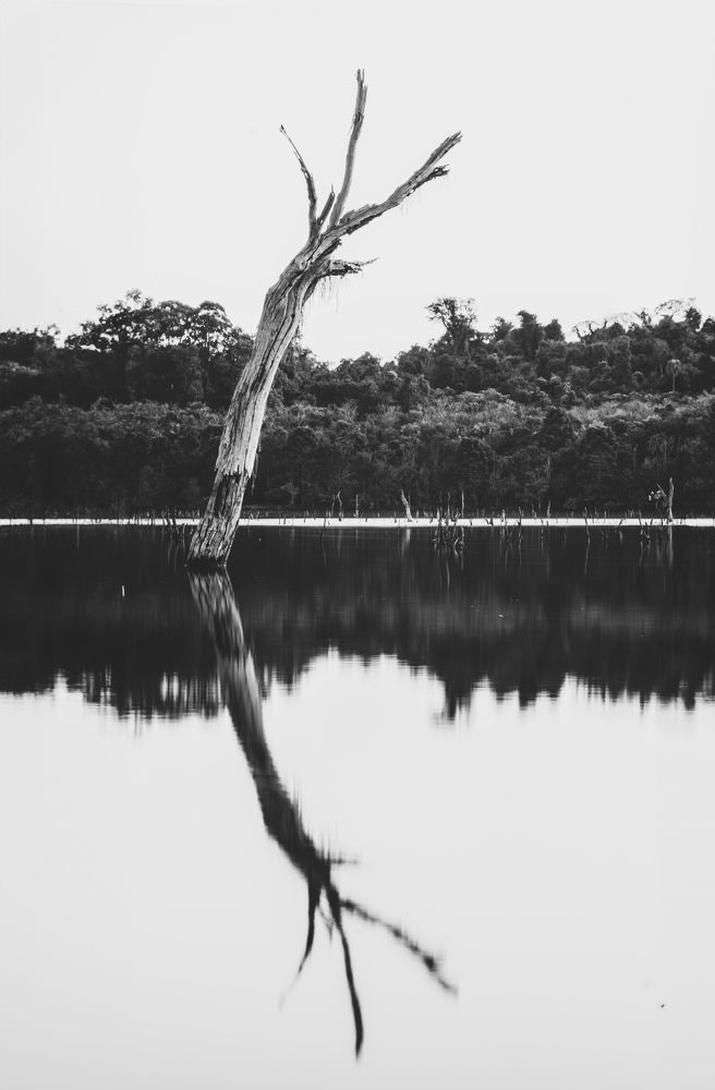 Photograph by SERGIO NORBERTO JUNIOR