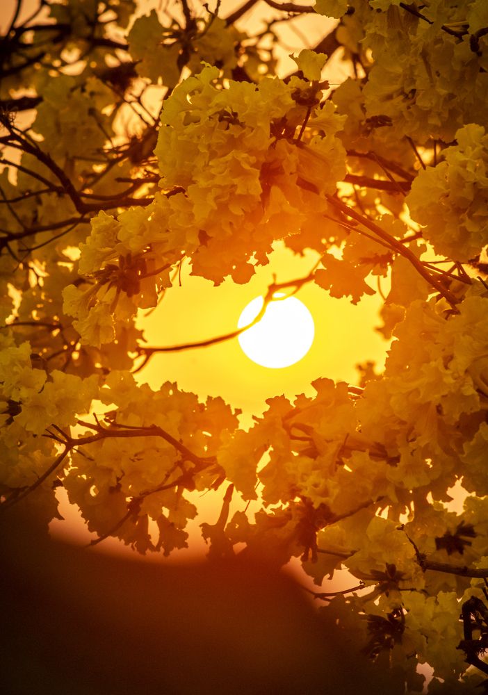 Photograph by SERGIO NORBERTO JUNIOR