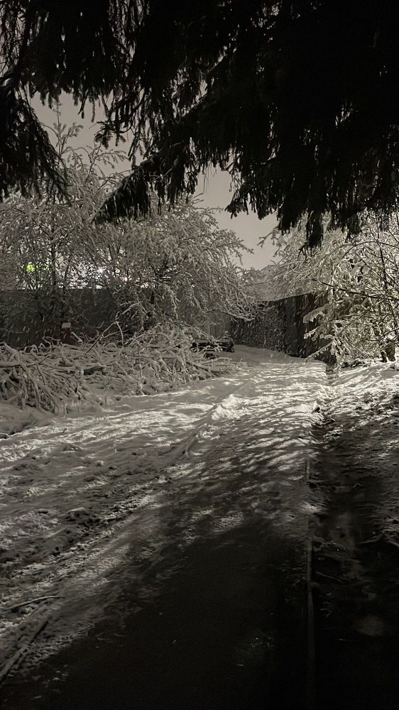 Photograph by Алина Щекотова