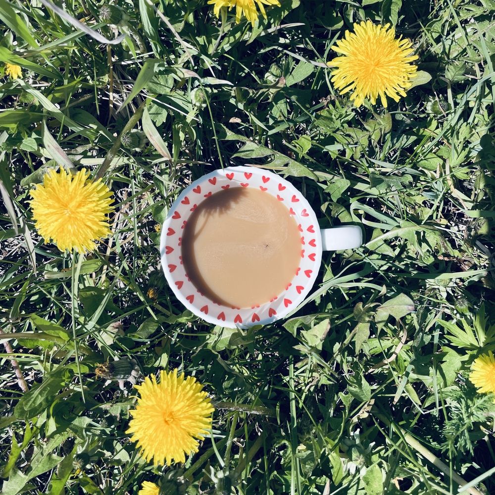 Photograph by Алина Щекотова