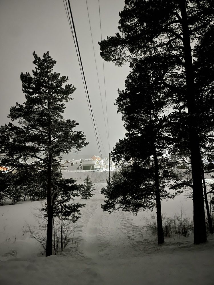 Photograph by Алина Щекотова