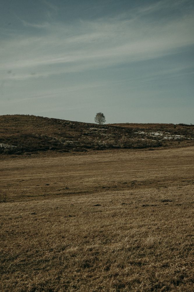 Photograph by Олеся Александрова