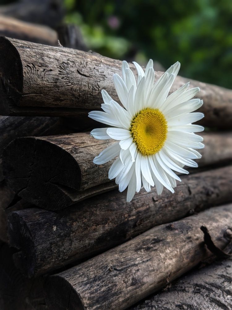 Photograph by Константин Косяков