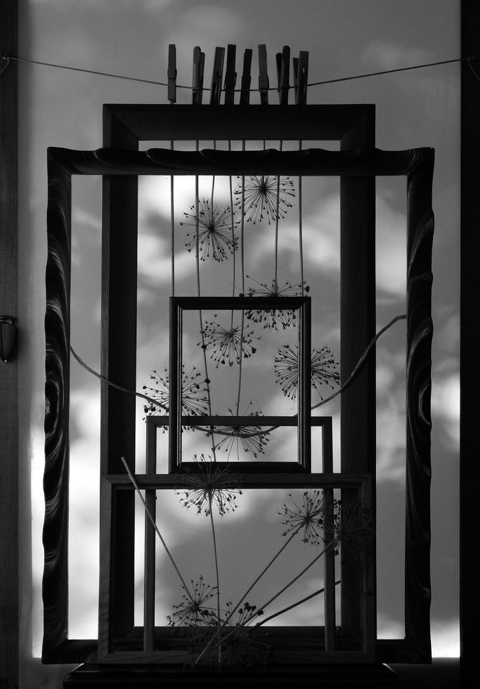 Photograph by 