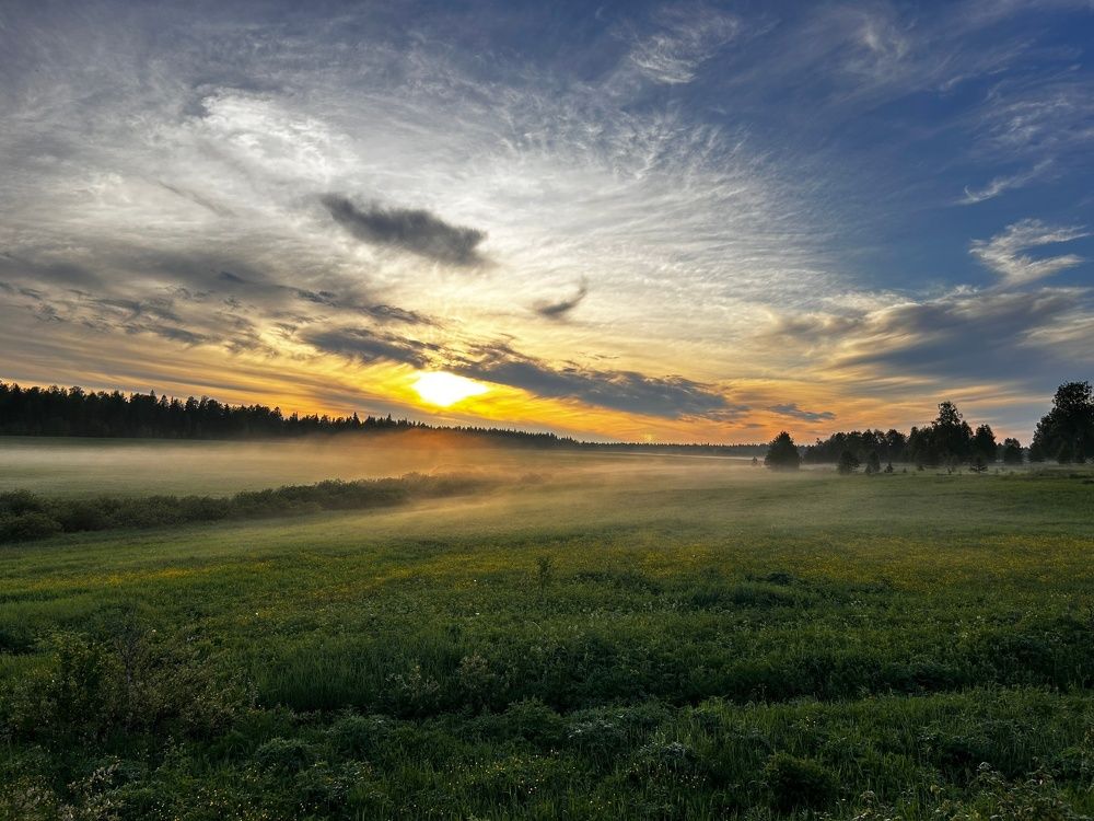 Photograph by Дмитрий Захаров