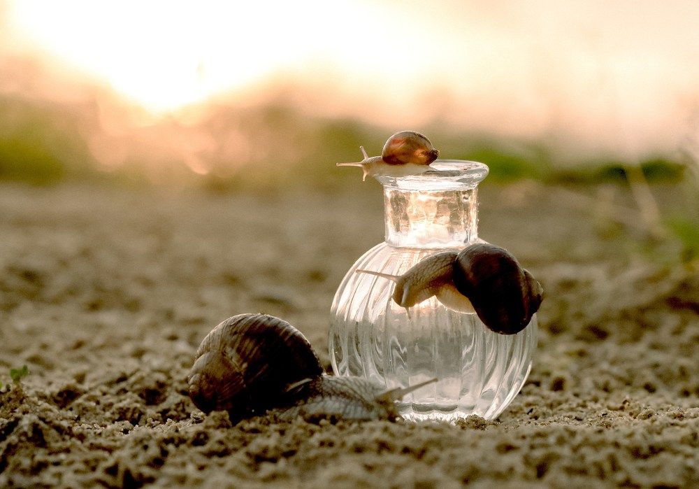 Photograph by Марина Суздаль