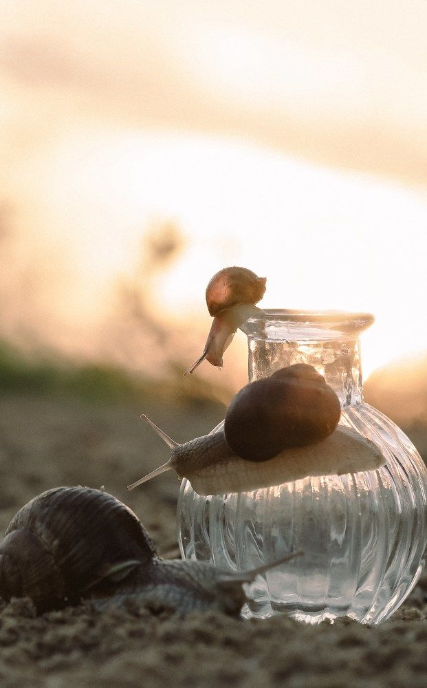 Photograph by Марина Суздаль