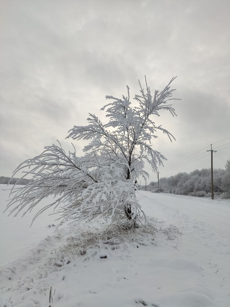 Photograph by Иван