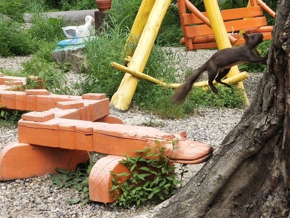 Photograph by Наталья Никитенко