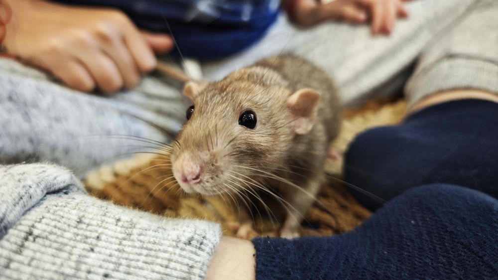 Photograph by Татьяна Огаркова