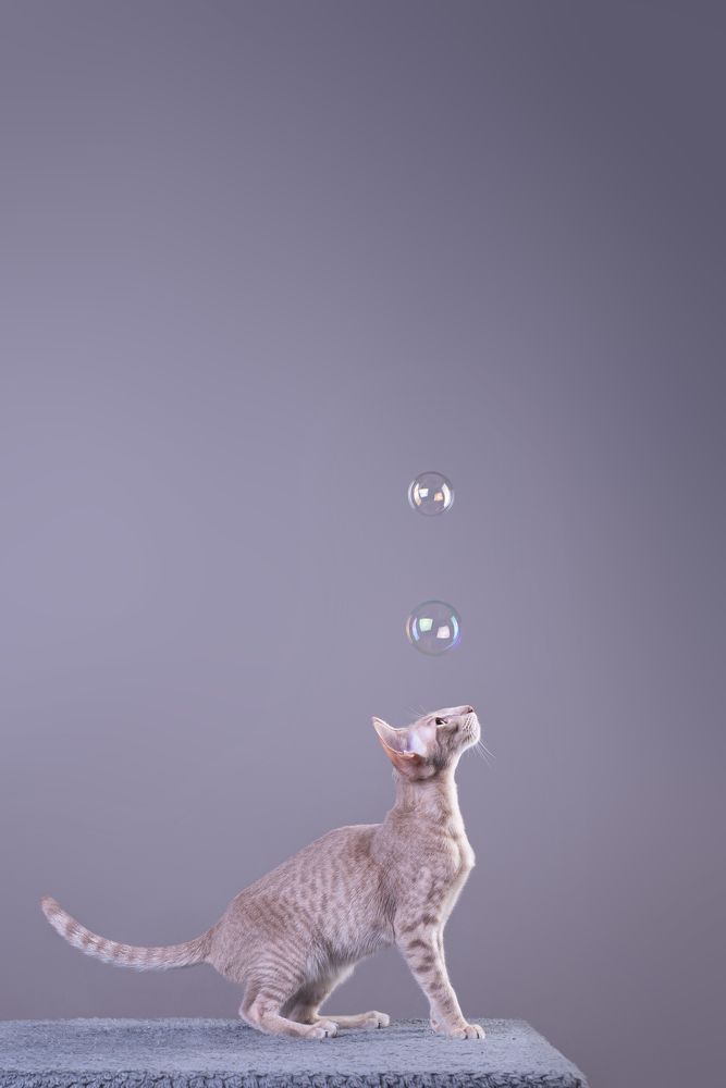 Photograph by наталья залогина