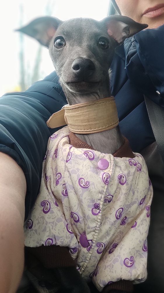 Photograph by наталья залогина