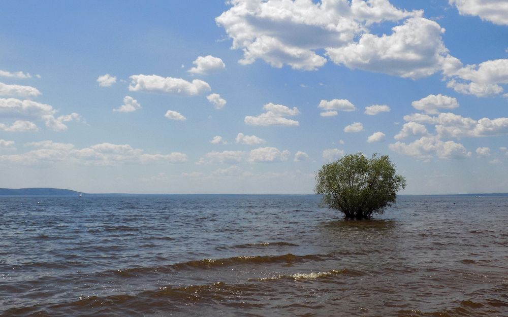 Photograph by Сергей Рудаков