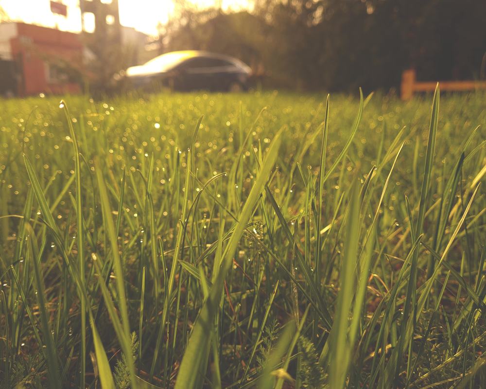 Фотография автора Alex andr