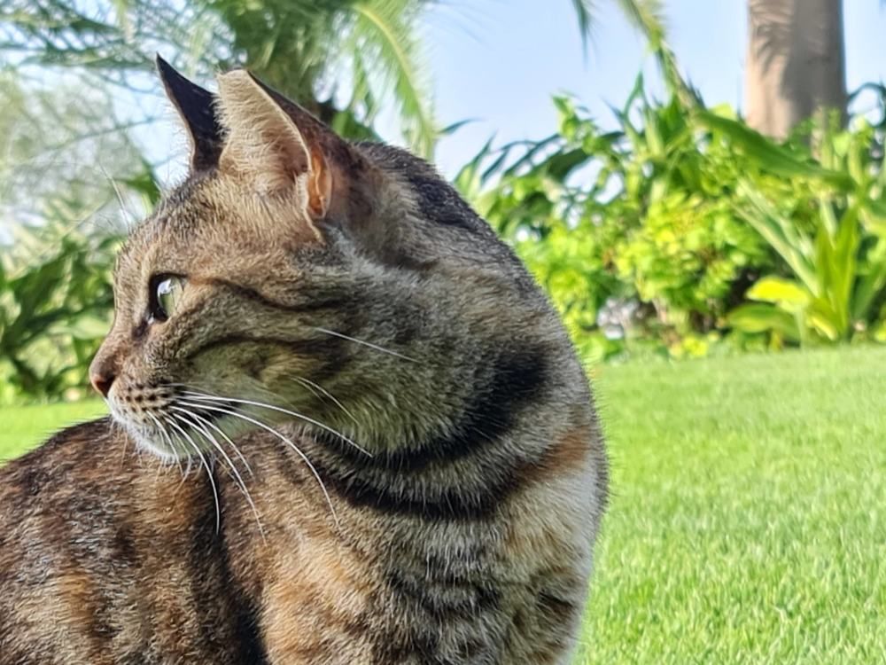 Photograph by Himesh Soni