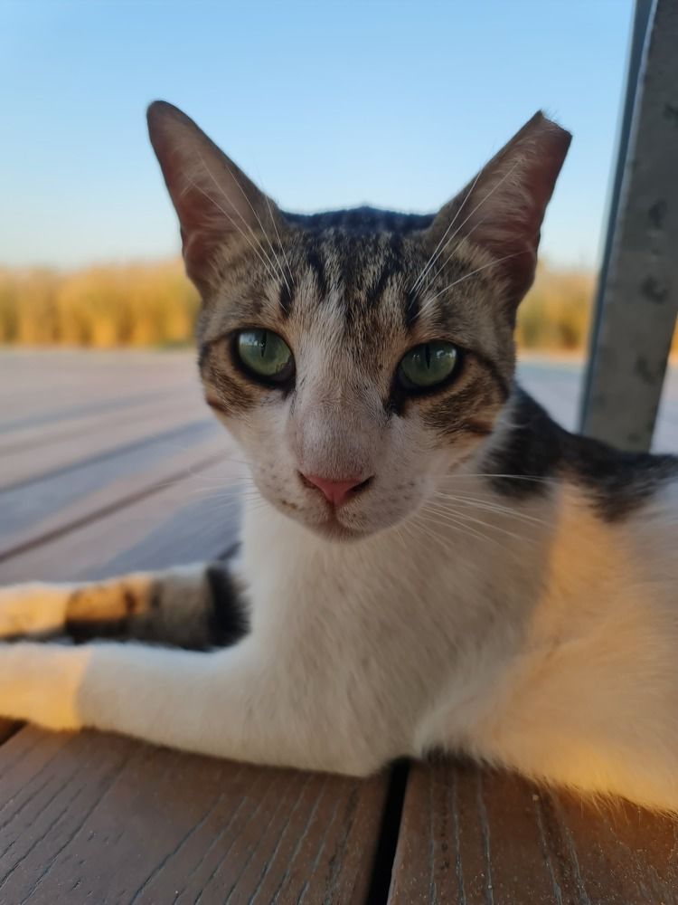 Photograph by Himesh Soni