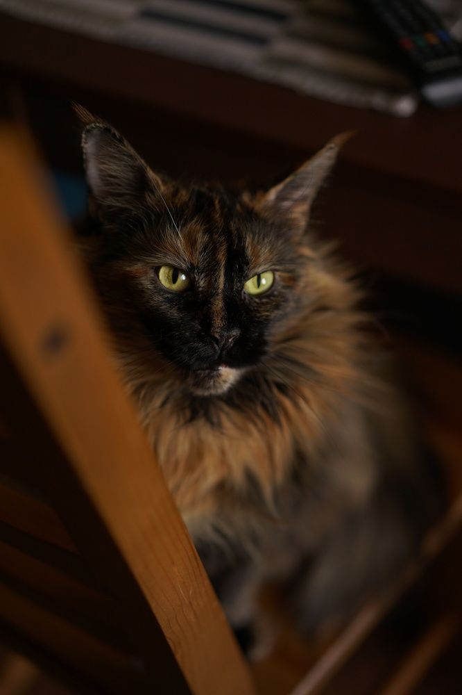 Photograph by Яна Королева