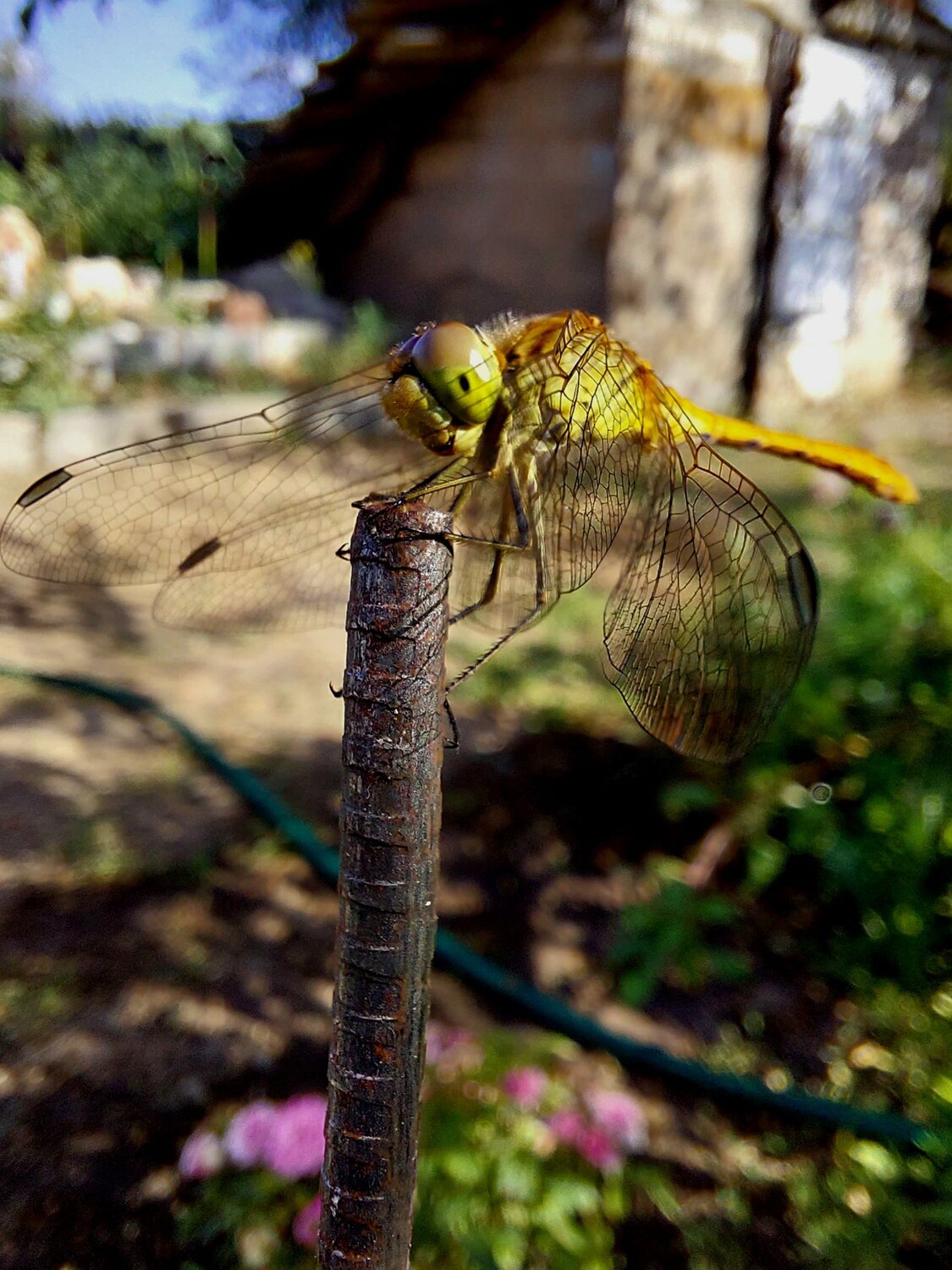 Photo #10744756