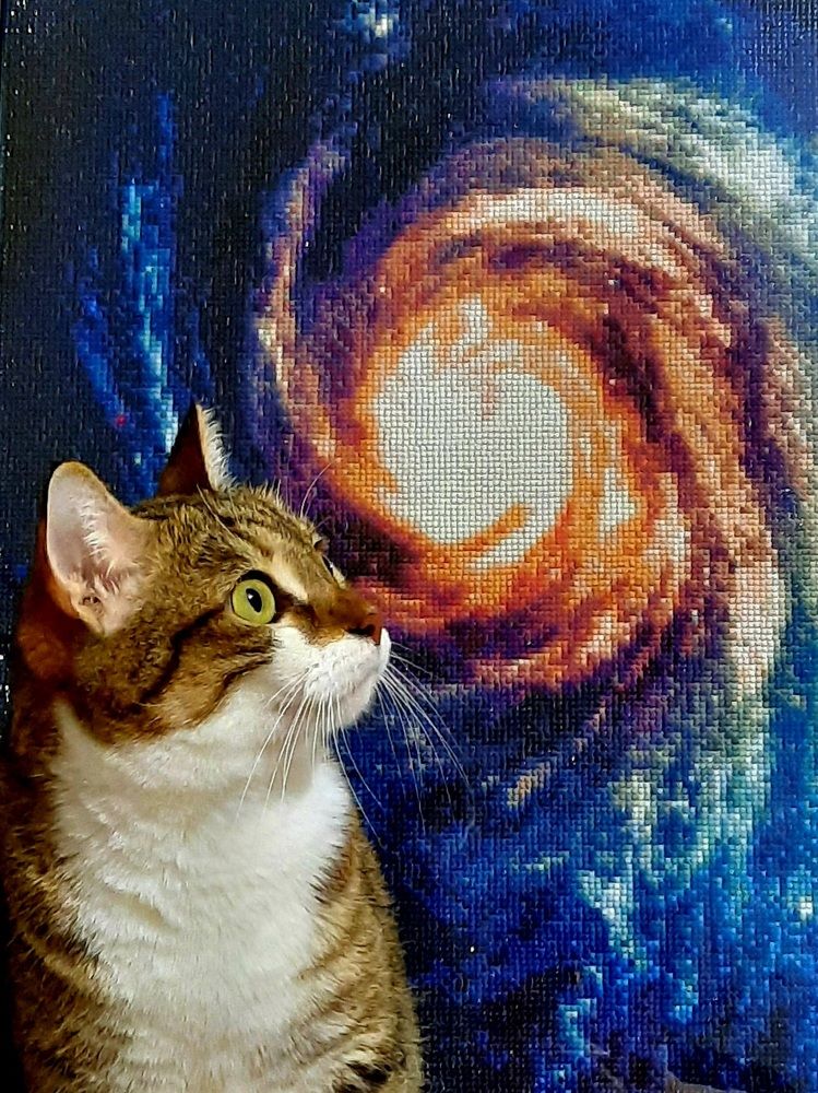 Photograph by Ольга Закаблуковская