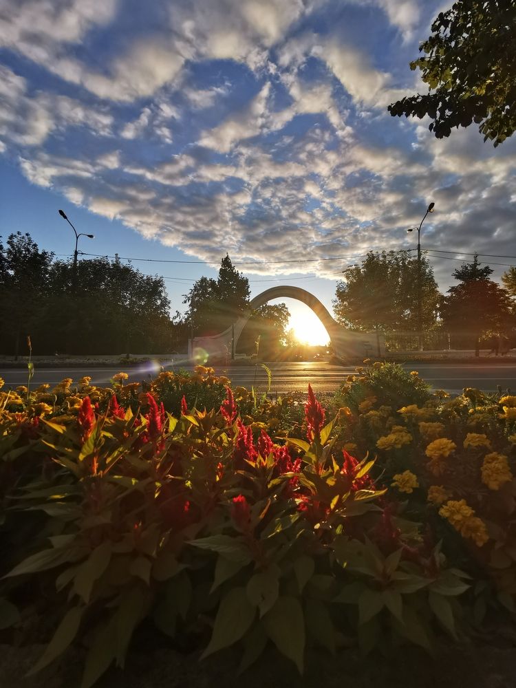 Photograph by Игорь Сапронов