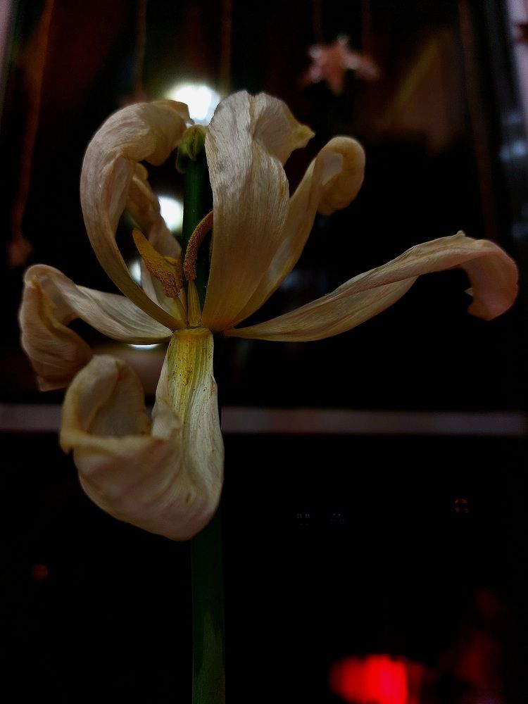 Photograph by Юлия Измерова