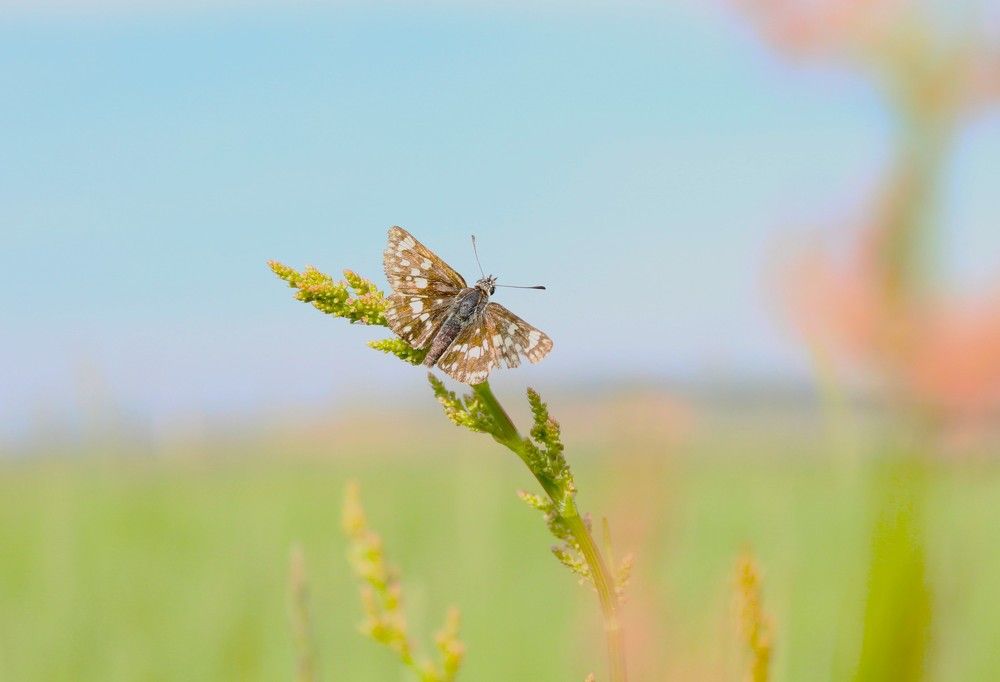 Photograph by Оксана