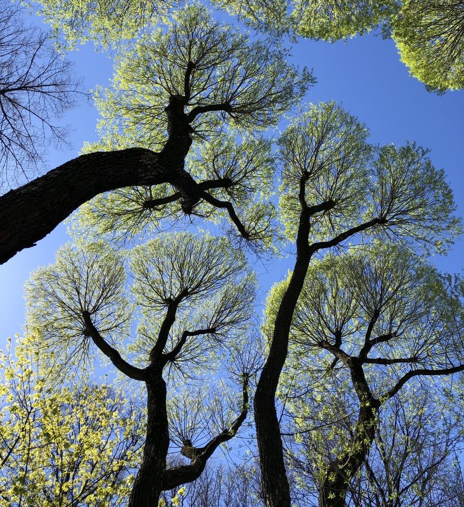 Photograph by Мария Бессмертная