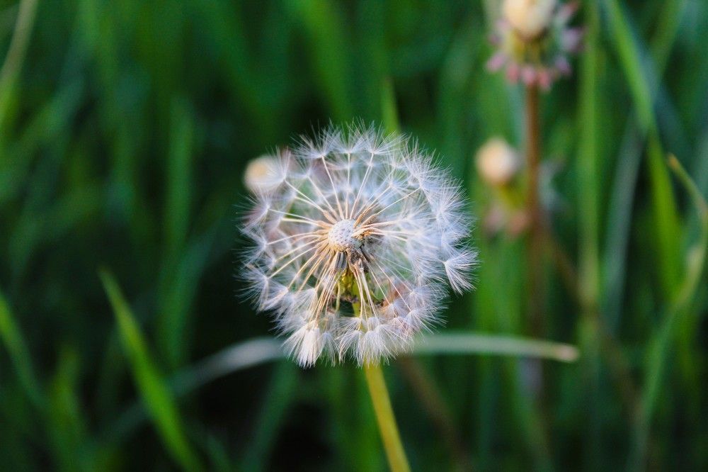 Photograph by Оксана