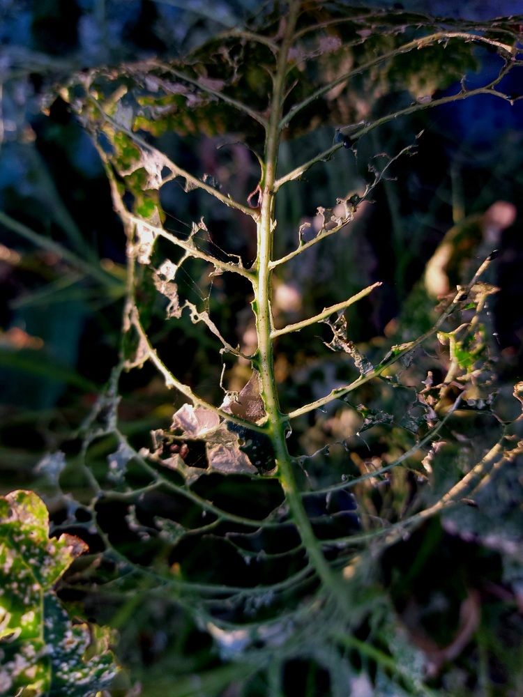 Photograph by Юлия Измерова