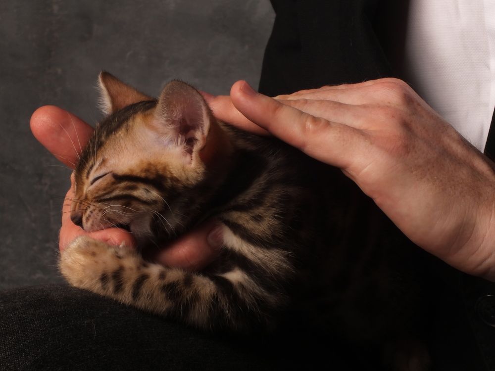 Photograph by Ольга Закаблуковская