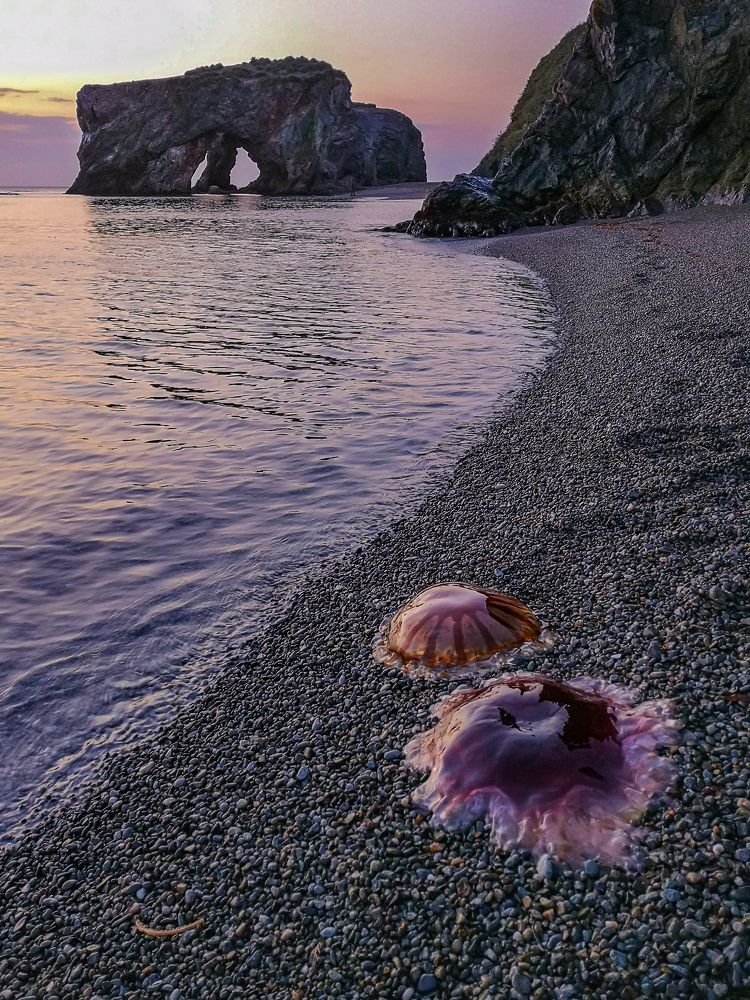 Photograph by Ольга Мусиенко