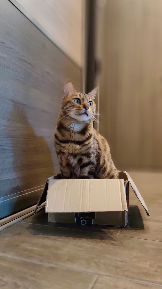 Photograph by Игорь Семеновский