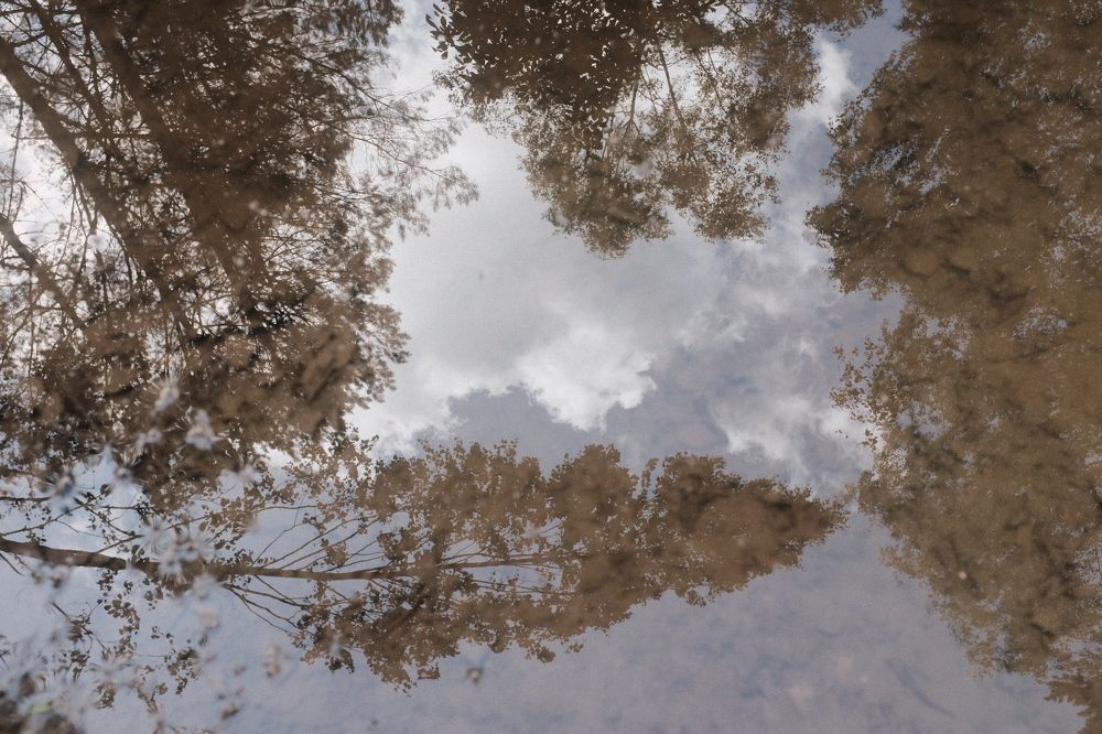 Photograph by Семен Батов