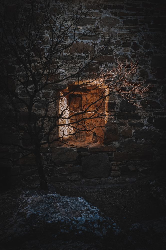 Фотография автора Татьяна Тур