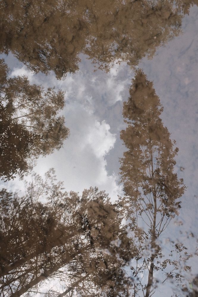 Photograph by Семен Батов