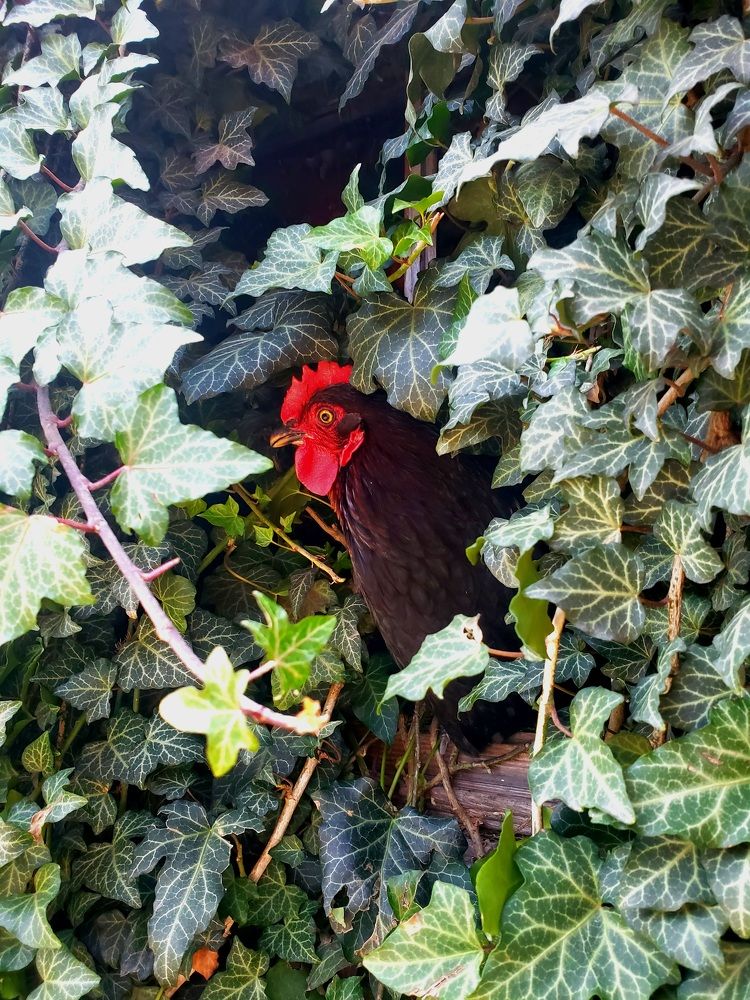 Photograph by Sofia Koshman